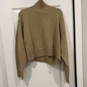DISSH Cropped Turtleneck Sweater